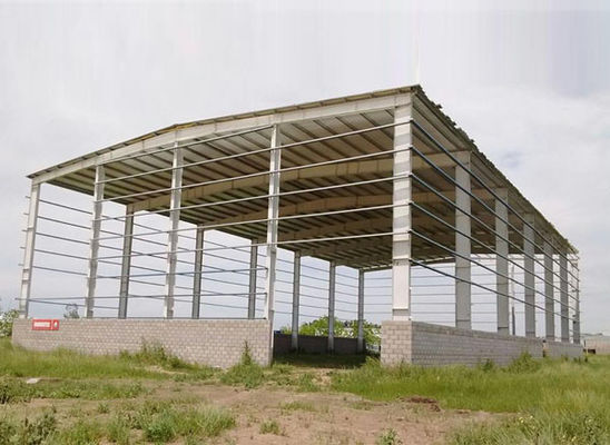 Светлый стальной гараж стальной структуры конструкции склада здания