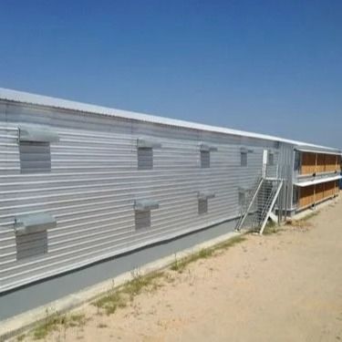 Сборный стальной птичник, легкая конструкция, Q235B, Q355B