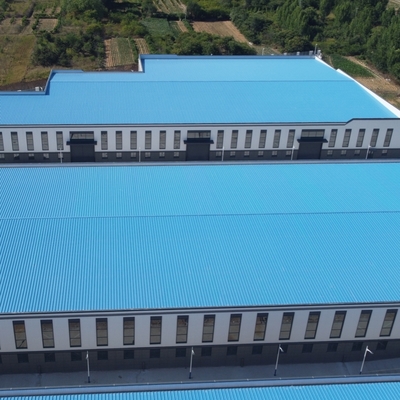 Q235B Q355B Стальная конструкция мастерская с краном балки