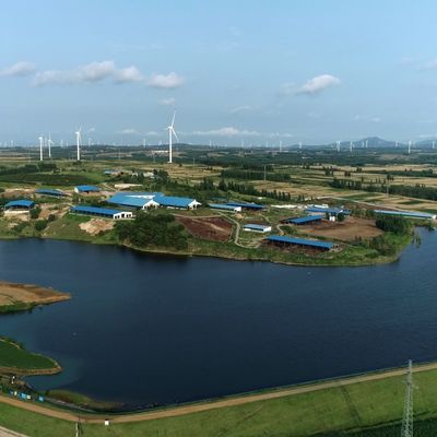 Индивидуальный оцинкованный стальной навес для крупного рогатого скота для животноводства