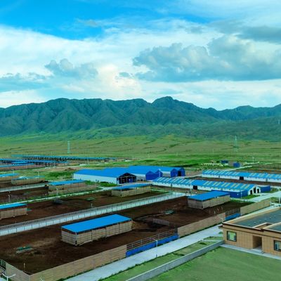 Степень службы стального коровьего сарая