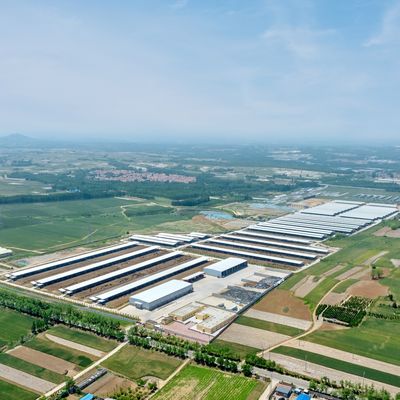 Сборное модульное коровье фермерское здание из стальной конструкции с прочной обработкой поверхности и длительным сроком службы