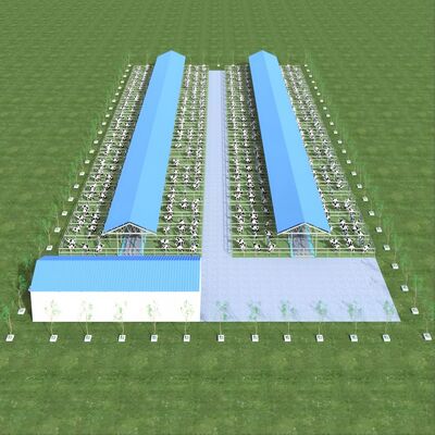 Дизайн Поставки Современная стальная конструкция Молочная ферма Шатла Металлический стай с системой вентиляции