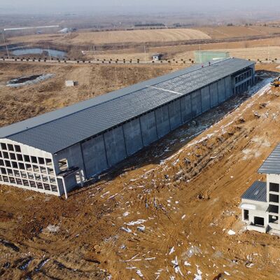 Префабрикованная изоляционная стальная конструкция птицеводческий дом для фермы слоя